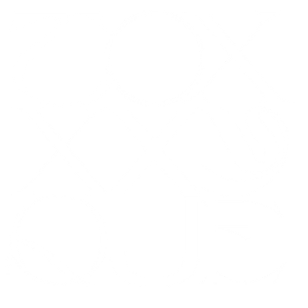 TOXXXYQUE